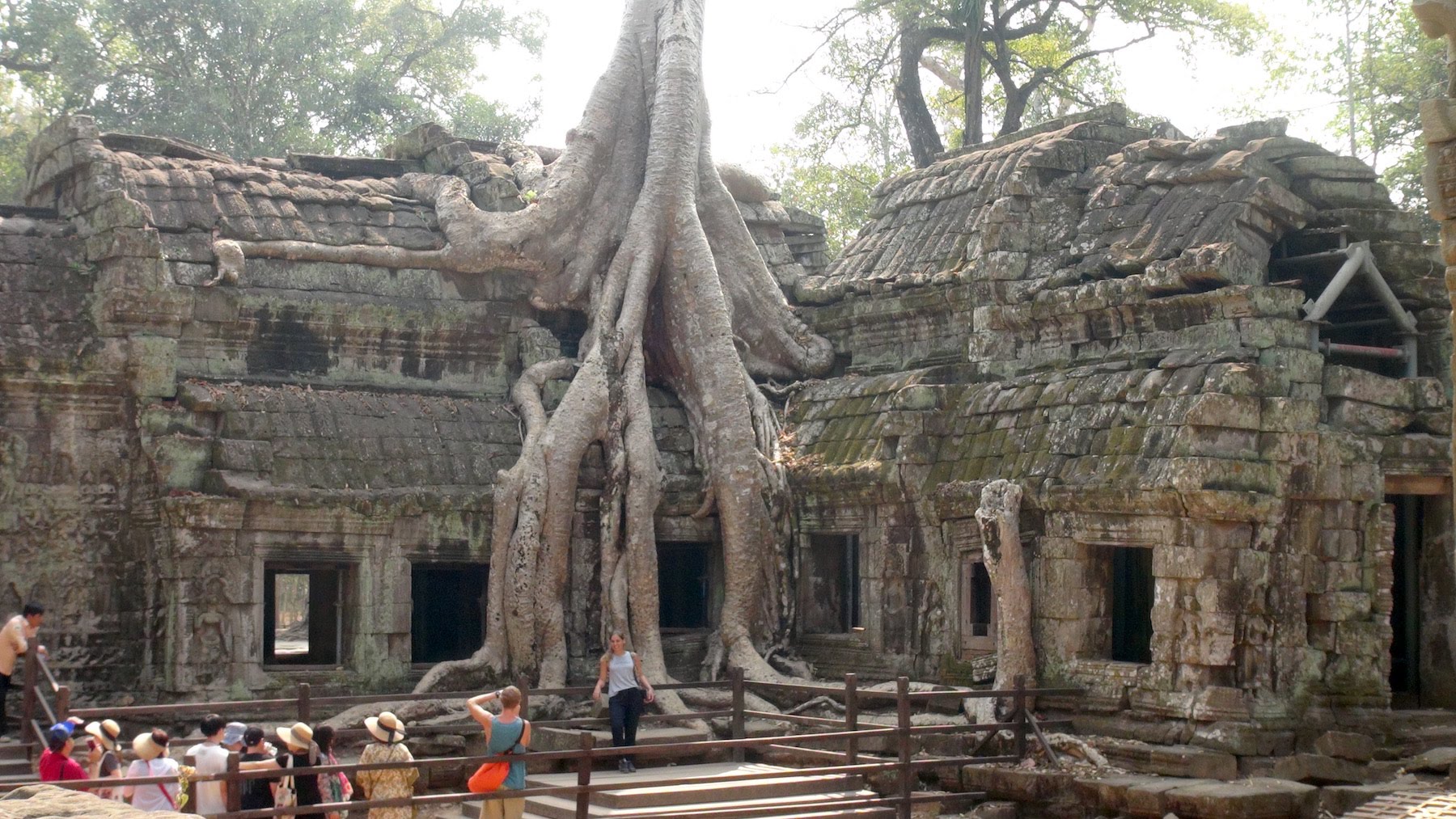 attraction-Ta Prohm Temple Day Trips.jpg